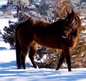 babe_winter_2012