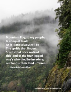 graphic_four_leggeds