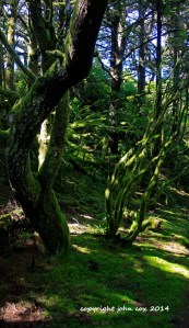 oregon coast washburn sp 3