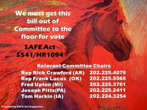 375676_10201161879671070_516850491_n