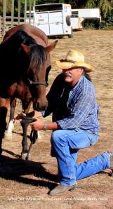 1451975_624318974291466_885969319_n