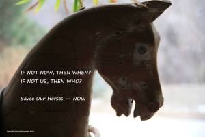 1555591_657751634281533_1814469033_n