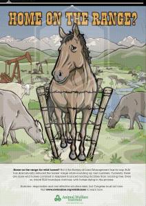 10365906_595784773860704_3079160711500036573_n