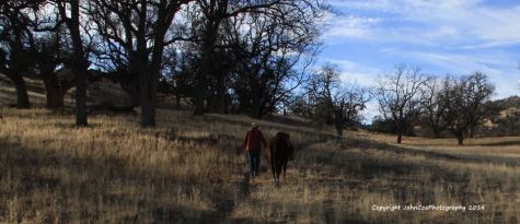 1545031_649920625064634_1390514084_n