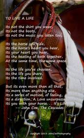 1012045_562101927179838_310090421_n