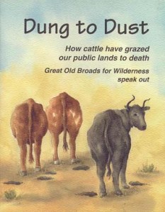 dungtodust